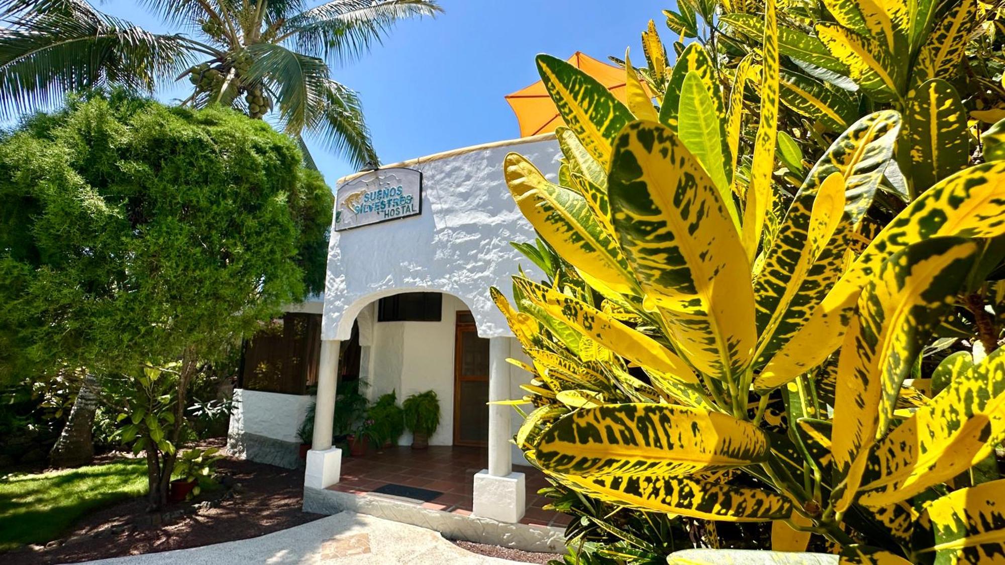 Hostal Suenos Silvestres Puerto Ayora  Ngoại thất bức ảnh