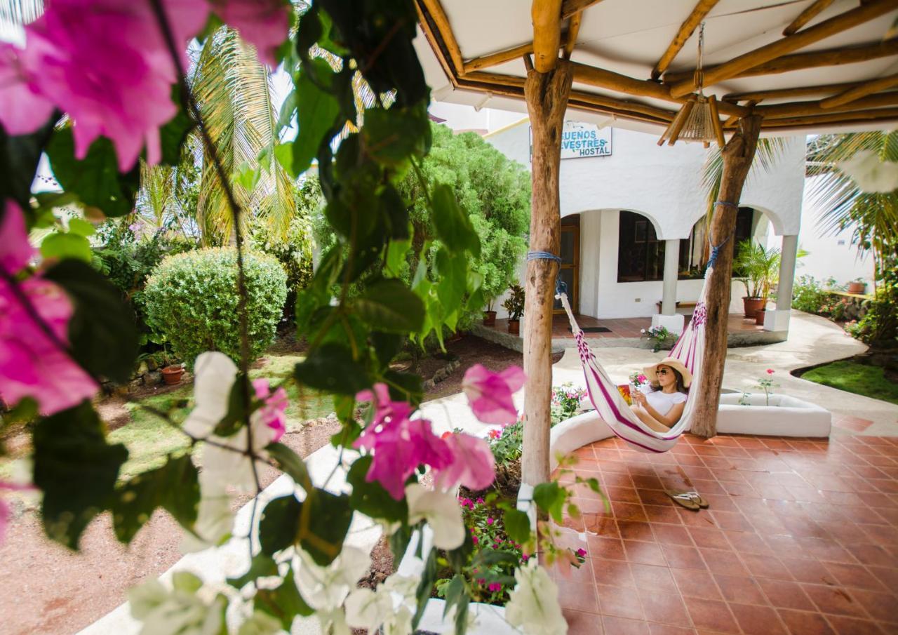 Hostal Suenos Silvestres Puerto Ayora  Ngoại thất bức ảnh